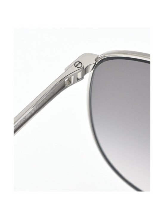 Louis Vuitton Silver Gray